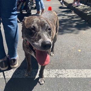 Meet your Posher, Ariella